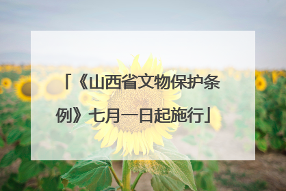 《山西省文物保护条例》七月一日起施行