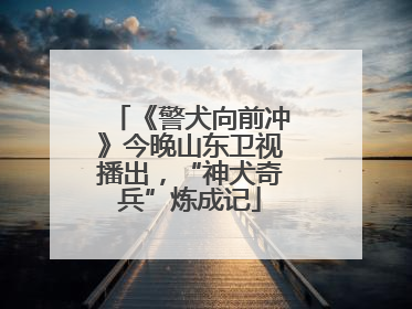 《警犬向前冲》今晚山东卫视播出，“神犬奇兵”炼成记