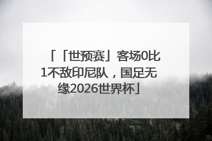 「世预赛」客场0比1不敌印尼队，国足无缘2026世界杯