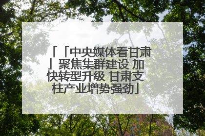 「中央媒体看甘肃」聚焦集群建设 加快转型升级 甘肃支柱产业增势强劲