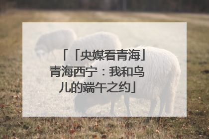 「央媒看青海」青海西宁：我和鸟儿的端午之约
