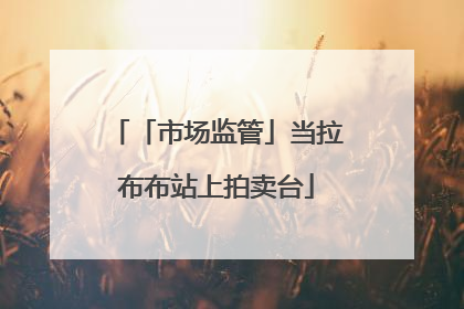 「市场监管」当拉布布站上拍卖台