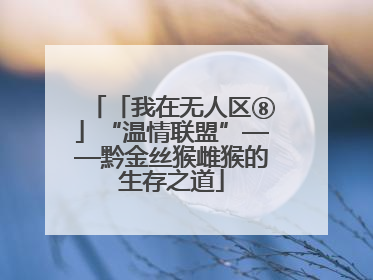 「我在无人区⑧」“温情联盟”——黔金丝猴雌猴的生存之道
