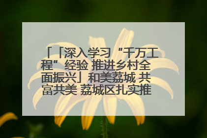 「深入学习“千万工程”经验 推进乡村全面振兴」和美荔城 共富共美 荔城区扎实推进乡村振兴工作