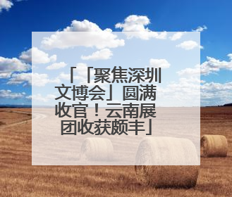 「聚焦深圳文博会」圆满收官！云南展团收获颇丰