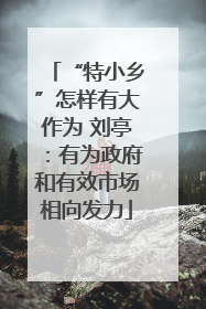“特小乡”怎样有大作为 刘亭：有为政府和有效市场相向发力