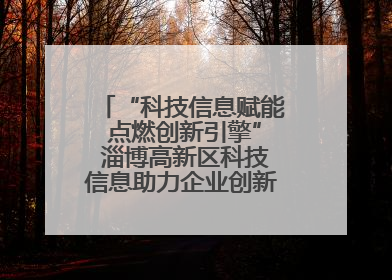 “科技信息赋能 点燃创新引擎” 淄博高新区科技信息助力企业创新发展培训会举办