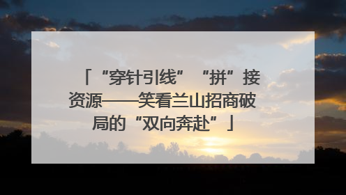 “穿针引线”“拼”接资源——笑看兰山招商破局的“双向奔赴”