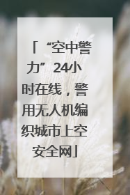 “空中警力”24小时在线，警用无人机编织城市上空安全网