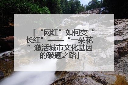 “网红”如何变“长红”——“一朵花”激活城市文化基因的破题之路