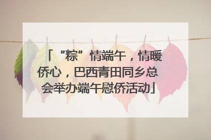 “粽”情端午，情暖侨心，巴西青田同乡总会举办端午慰侨活动