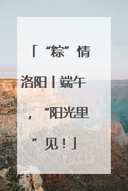“粽”情洛阳丨端午，“阳光里”见！