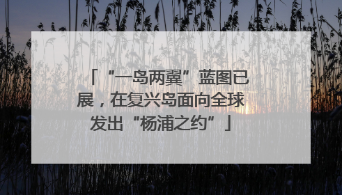 “一岛两翼”蓝图已展，在复兴岛面向全球发出“杨浦之约”