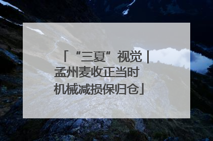 “三夏”视觉｜孟州麦收正当时 机械减损保归仓
