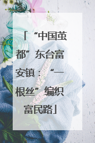 “中国茧都”东台富安镇：“一根丝”编织富民路