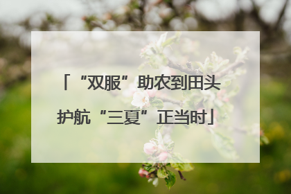 “双服”助农到田头 护航“三夏”正当时