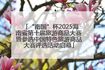 “南国”杯2025海南省第十届旅游商品大赛暨参选中国特色旅游商品大赛评选活动启幕