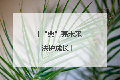 “典”亮未来 法护成长