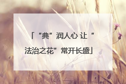 “典”润人心 让“法治之花”常开长盛