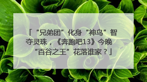 “兄弟团”化身“神鸟”智夺灵珠，《奔跑吧13》今晚“百谷之王”花落谁家？