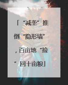 “减垄”推倒“隐形墙”，百亩地“捡”回十亩粮