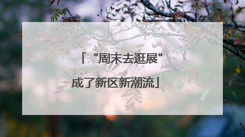 “周末去逛展”成了新区新潮流