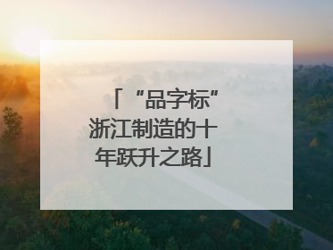 “品字标”浙江制造的十年跃升之路