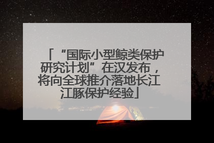 “国际小型鲸类保护研究计划”在汉发布，将向全球推介落地长江江豚保护经验
