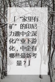 “家里有矿”的印尼力邀中企深化产业下游化，中企有哪些最新考量？