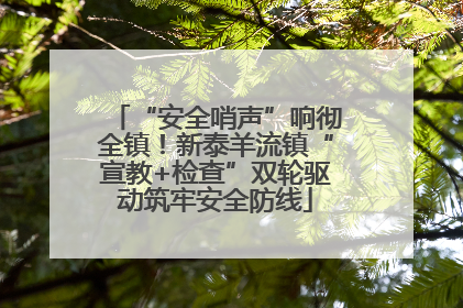 “安全哨声”响彻全镇！新泰羊流镇“宣教+检查”双轮驱动筑牢安全防线