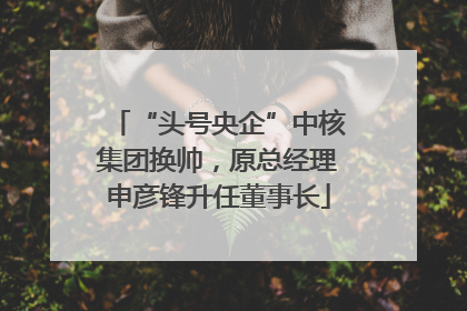 “头号央企”中核集团换帅，原总经理申彦锋升任董事长