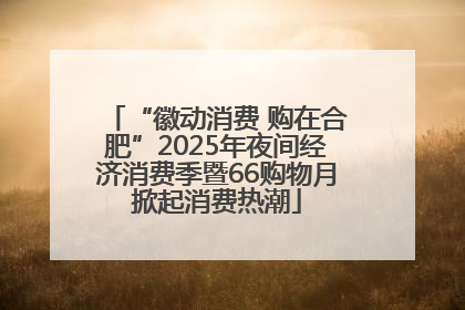 “徽动消费 购在合肥”2025年夜间经济消费季暨66购物月掀起消费热潮