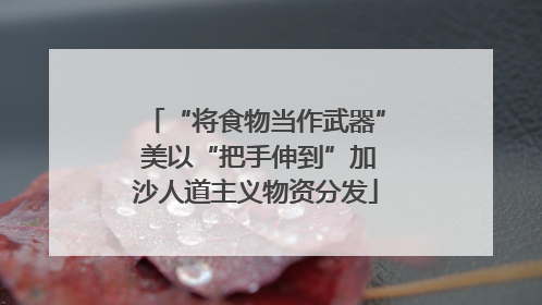 “将食物当作武器” 美以“把手伸到”加沙人道主义物资分发