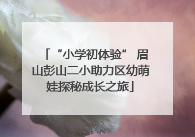 “小学初体验” 眉山彭山二小助力区幼萌娃探秘成长之旅