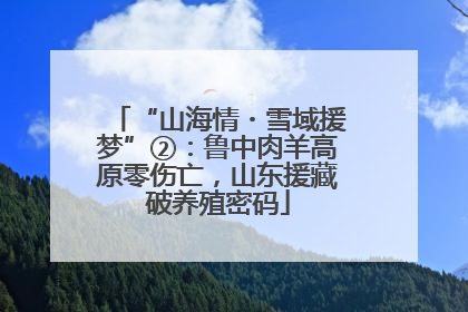 “山海情・雪域援梦”②：鲁中肉羊高原零伤亡，山东援藏破养殖密码