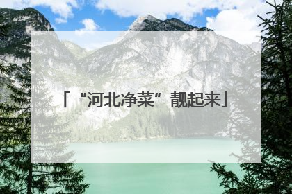 “河北净菜”靓起来