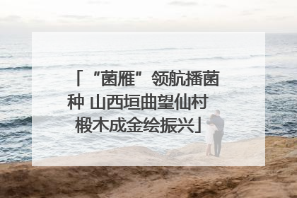 “菌雁”领航播菌种 山西垣曲望仙村椴木成金绘振兴