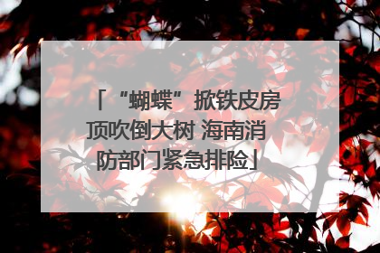 “蝴蝶”掀铁皮房顶吹倒大树 海南消防部门紧急排险