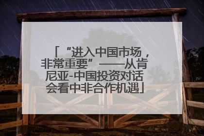 “进入中国市场，非常重要”——从肯尼亚-中国投资对话会看中非合作机遇