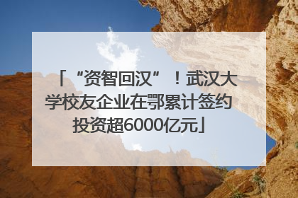 “资智回汉”！武汉大学校友企业在鄂累计签约投资超6000亿元