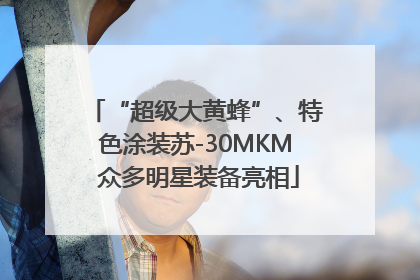 “超级大黄蜂”、特色涂装苏-30MKM 众多明星装备亮相