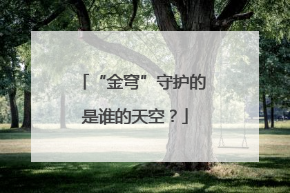 “金穹”守护的是谁的天空？