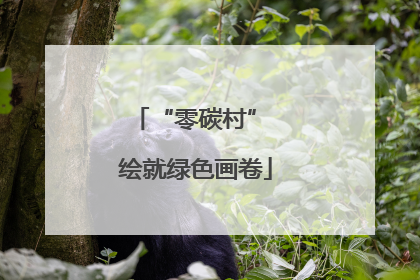 “零碳村” 绘就绿色画卷