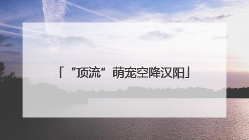 “顶流”萌宠空降汉阳