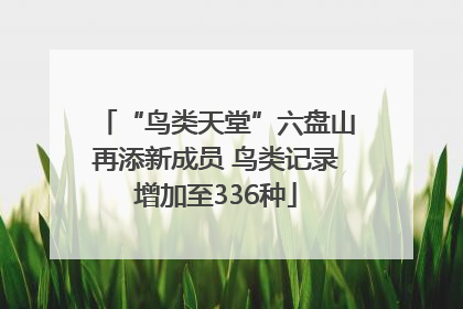 “鸟类天堂”六盘山再添新成员 鸟类记录增加至336种