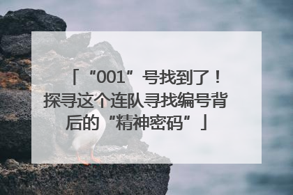 “001”号找到了！探寻这个连队寻找编号背后的“精神密码”
