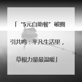 “5元自助餐”破圈引共鸣：平凡生活里，草根力量最温暖