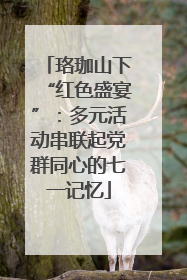 珞珈山下“红色盛宴”：多元活动串联起党群同心的七一记忆