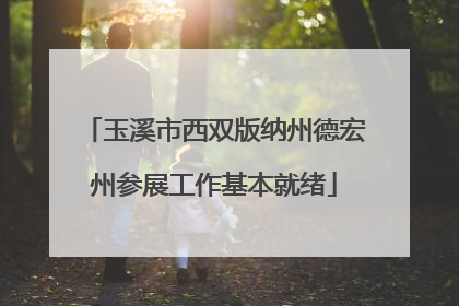 玉溪市西双版纳州德宏州参展工作基本就绪