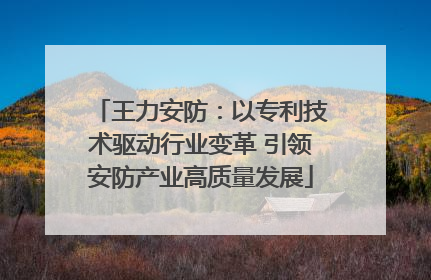 王力安防：以专利技术驱动行业变革 引领安防产业高质量发展